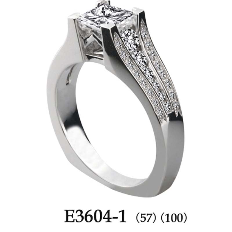 E3604-1 (56)(100)