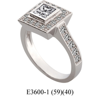 E3600-1 (59)(40)