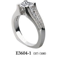 E3604-1 (56)(100)