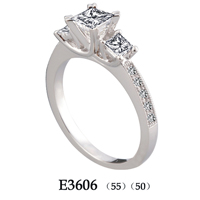 E3606 (55)(50)